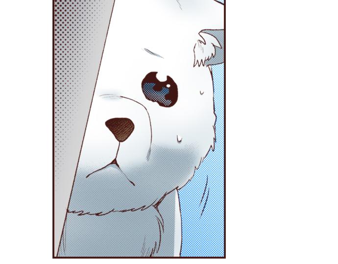 第25话 茸茸(1/2)-第25话