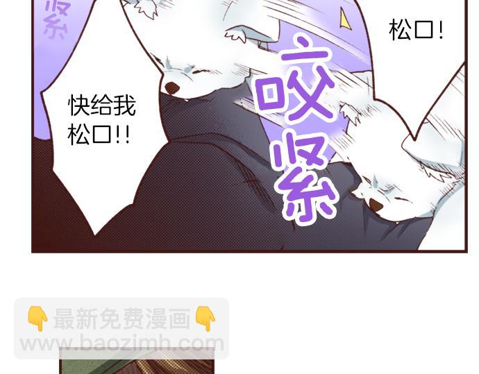 第25话 茸茸(1/2)-第25话