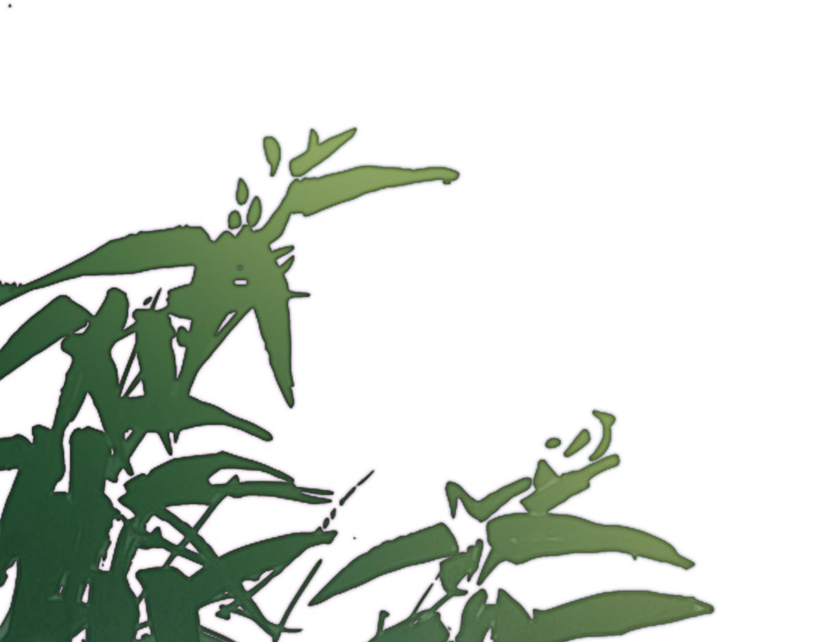 第四十六话 一生？(1/4)-第51话