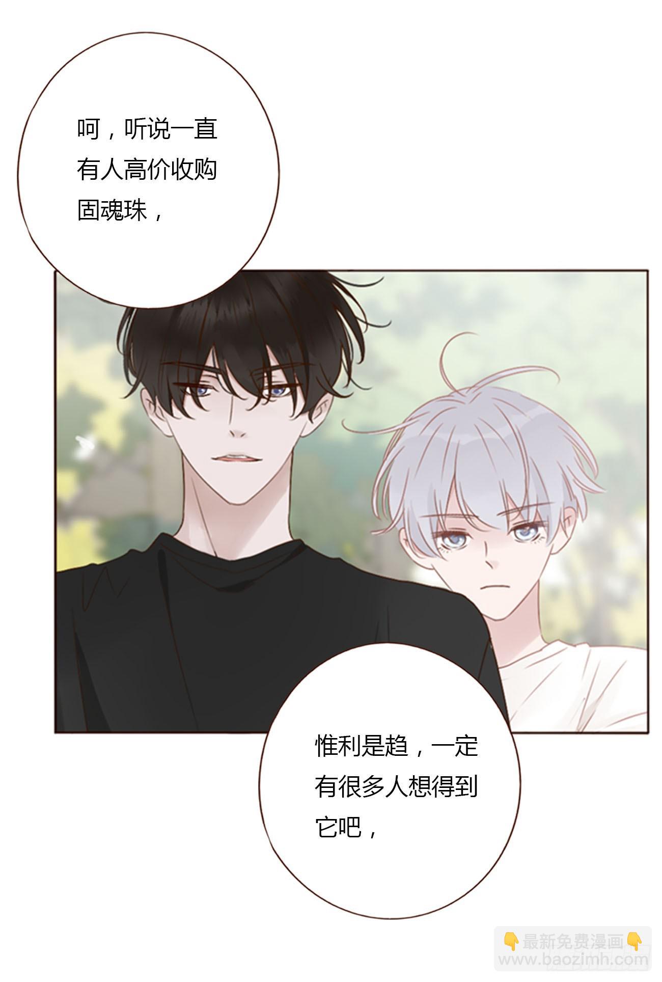 九十四章 固魂珠3-第101话