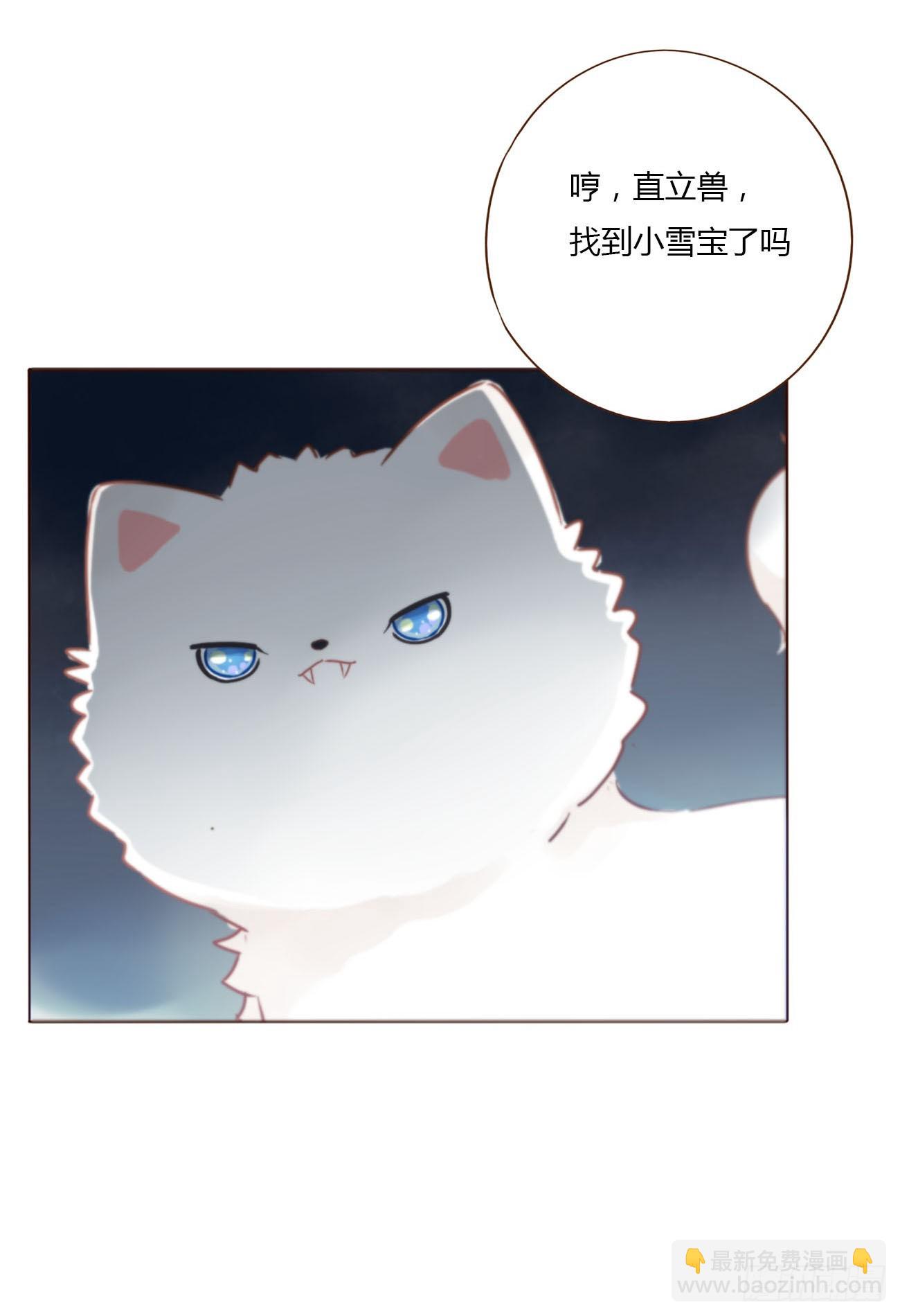 一一六章 猫妖-第123话