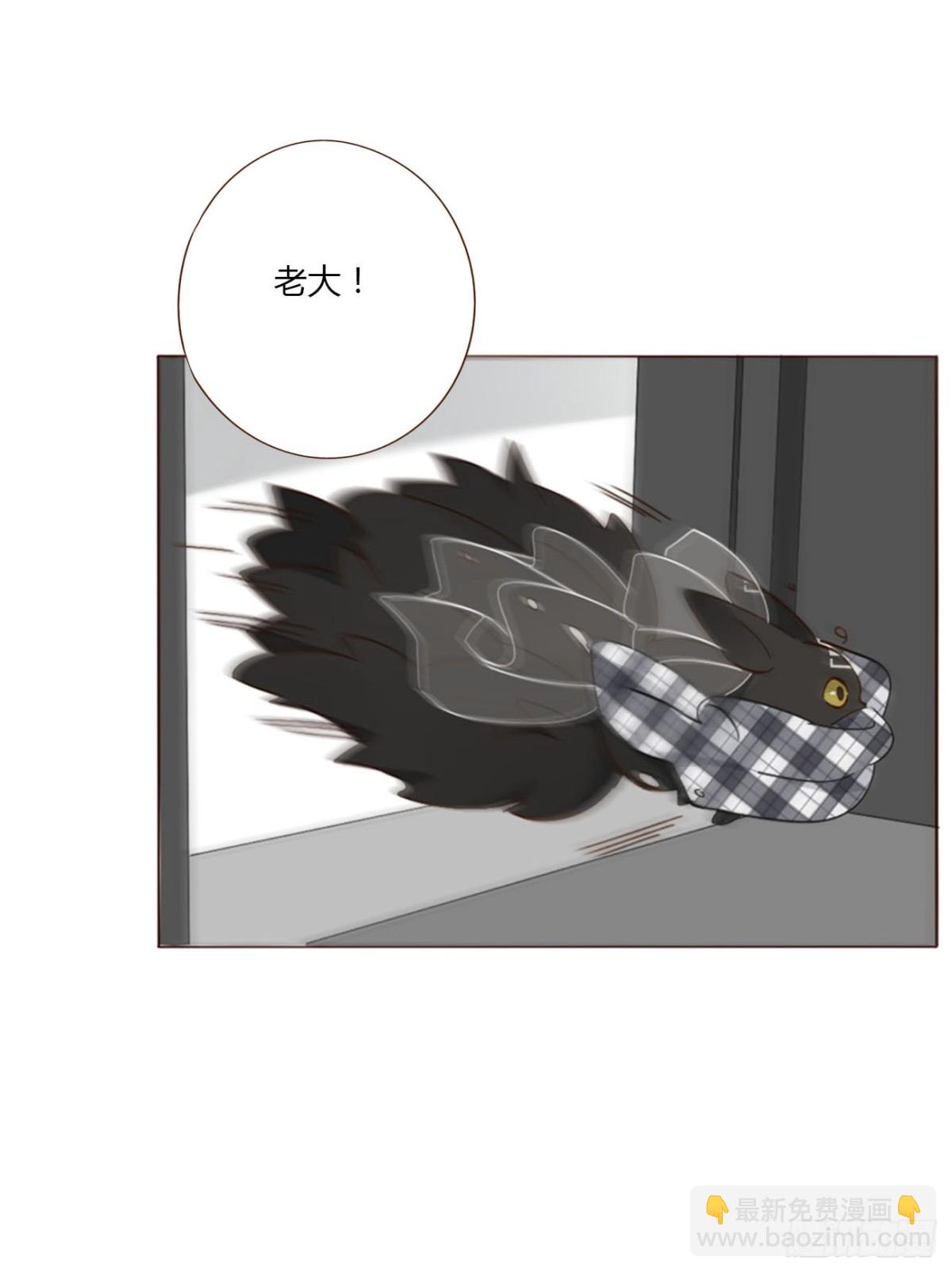 一四二章 六爷爷-第149话