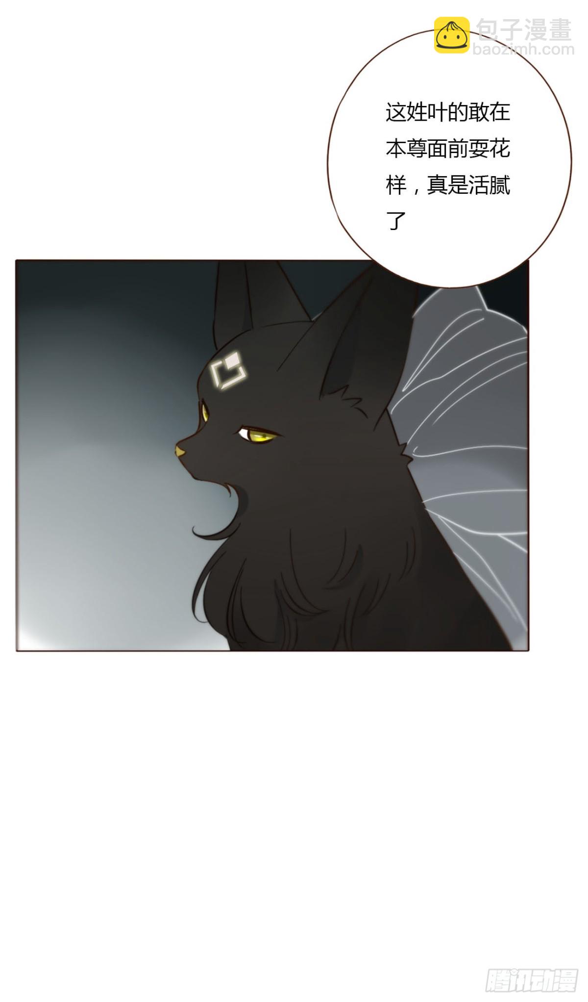 一四四章 小碗-第151话