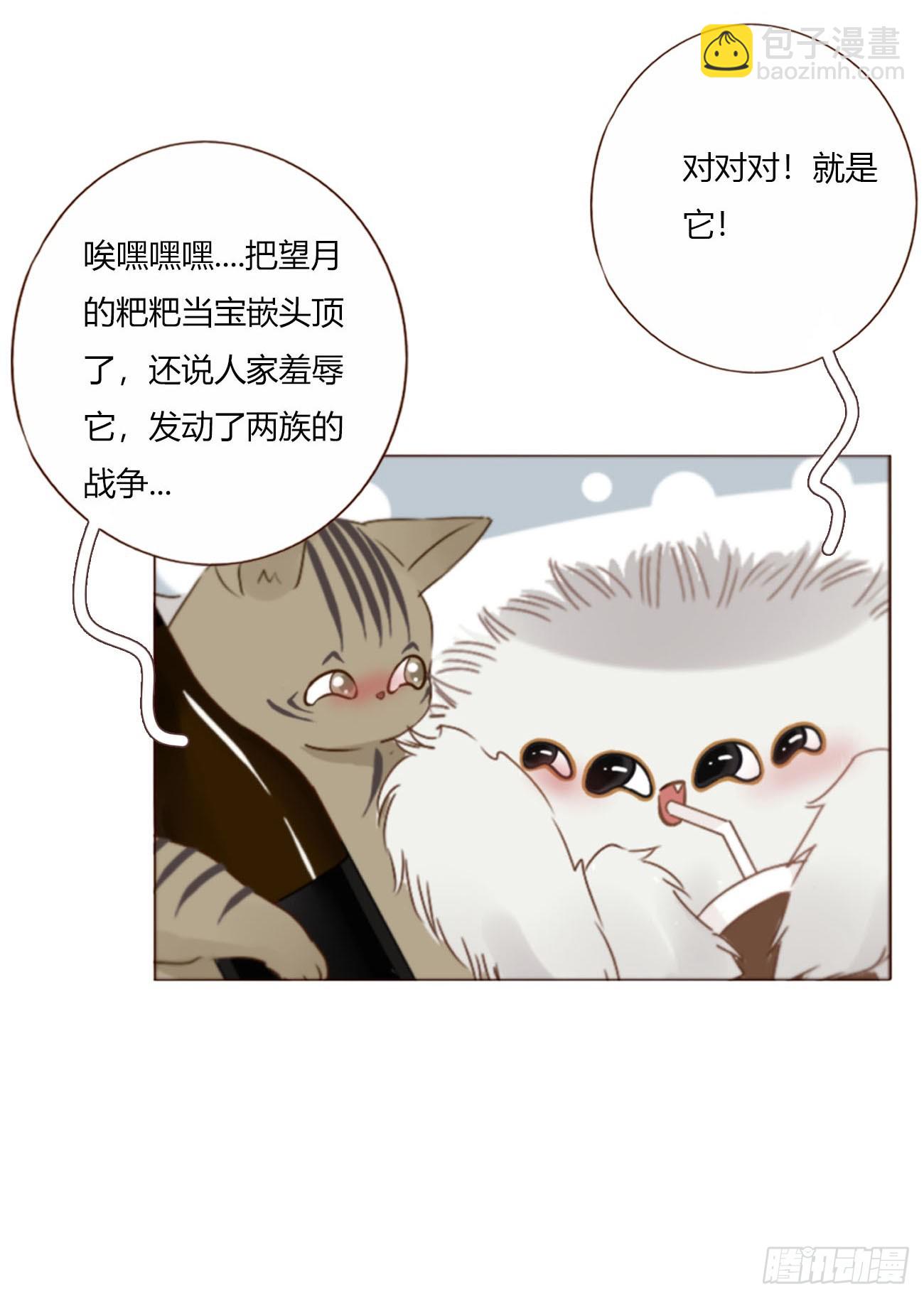 一九六章 十印-第203话