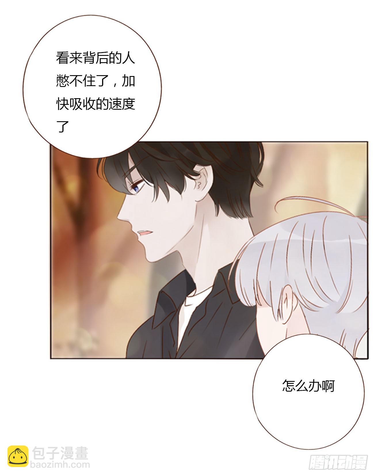 七十三章 花仙子1(1/2)-第79话