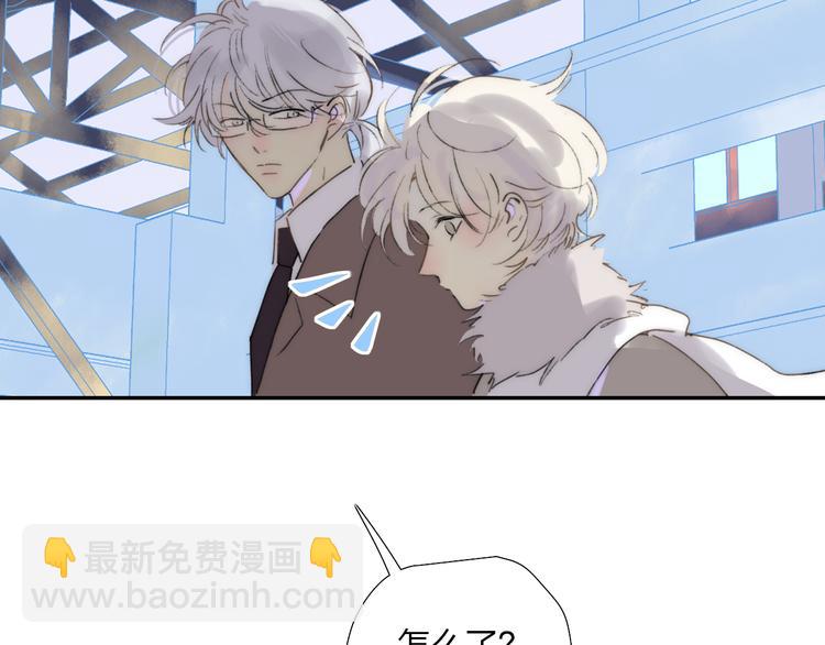 第47话  关系确定(1/2)-第51话