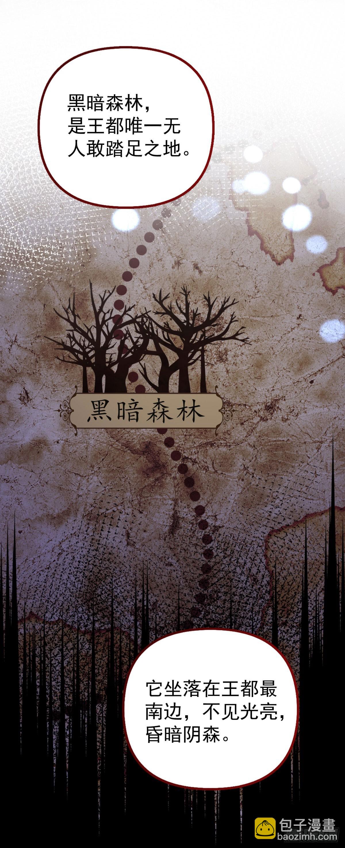 第23话 出发前往黑暗森林！-第23话