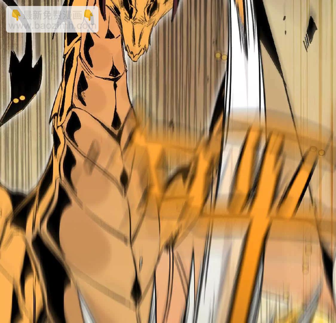 27 黄金龙(1/2)-第27话