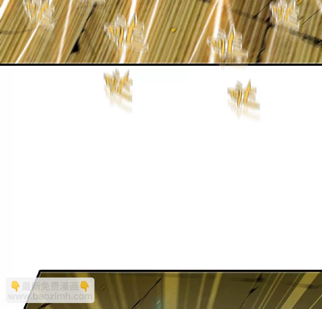 27 黄金龙(1/2)-第27话