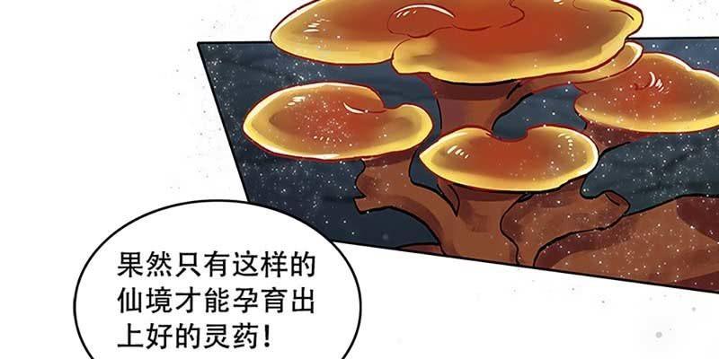 青尊已经无能为力(1/3)-第33话