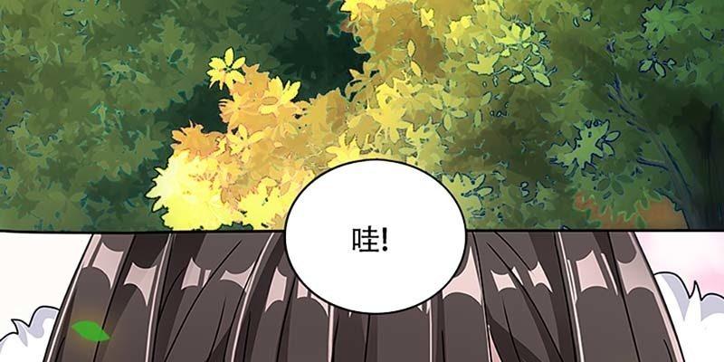 被狐狸教做人？(1/3)-第41话