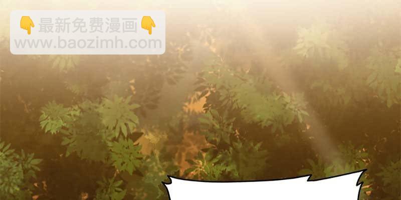 决明子与断肠草(1/3)-第7话