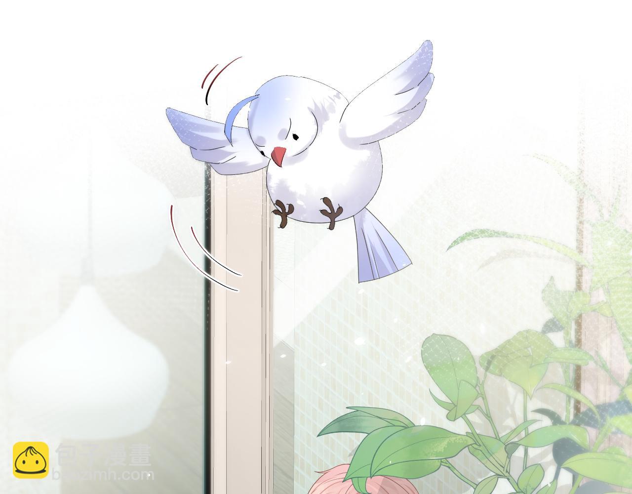 第40话 逃跑计划筹划中(1/2)-第41话