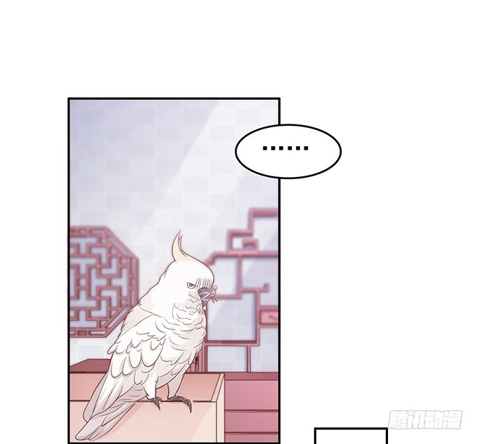 峰回路转(1/2)-第17话