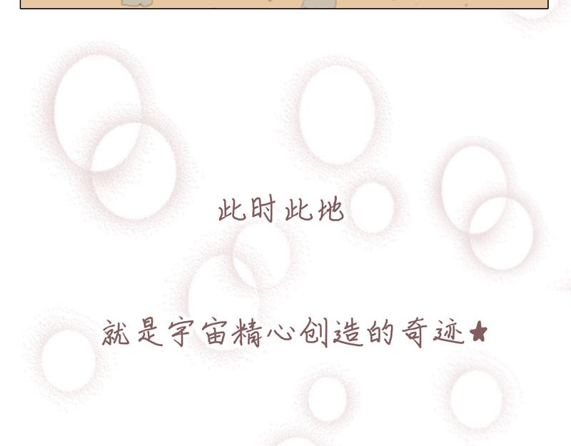 有光備忘錄 - 此時此地/綻放/以一切的方式 - 3