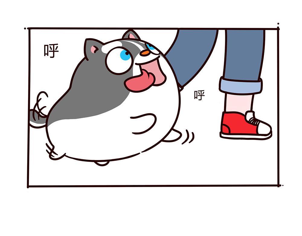 美丽的邂逅？-第1话