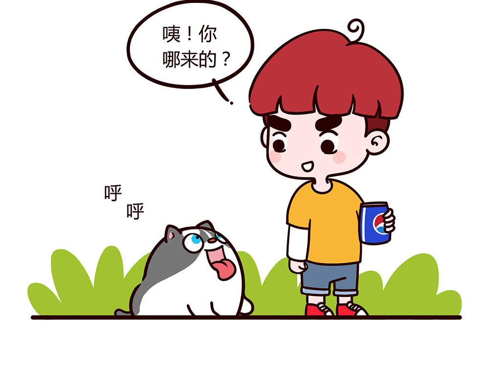 美丽的邂逅？-第1话