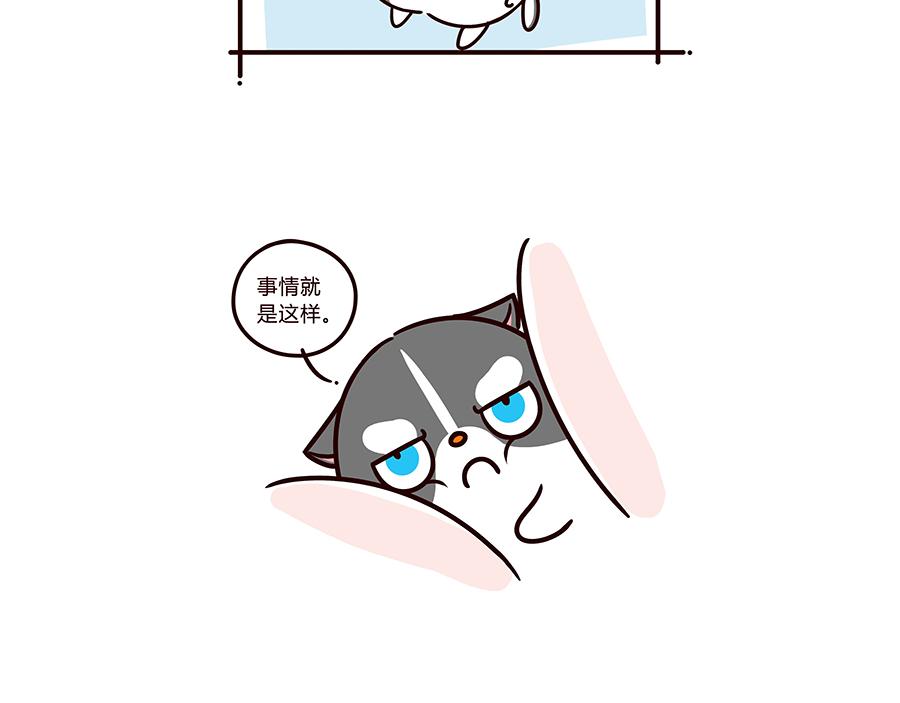 我是拒绝的-第11话