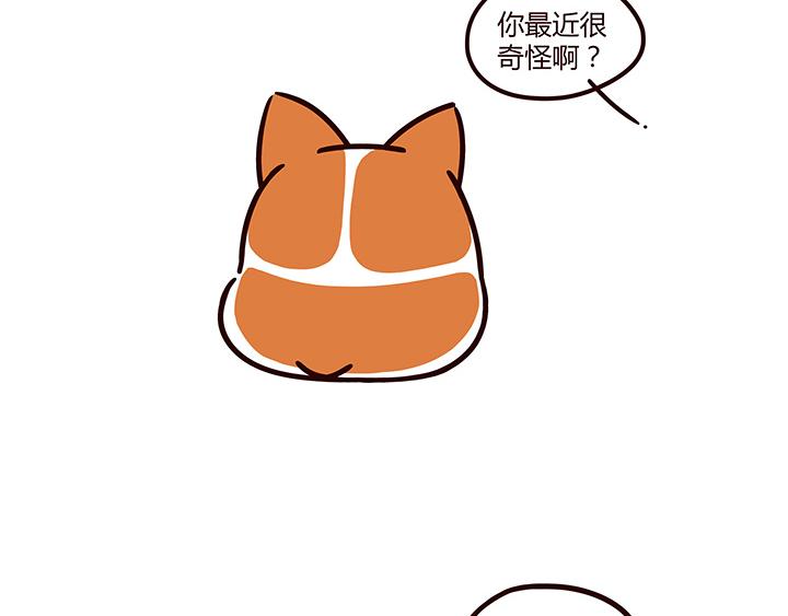 我是拒绝的-第11话