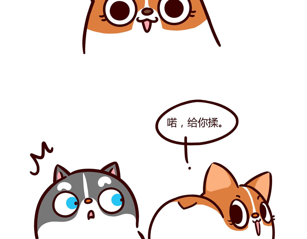 哥哥最近怎么了？-第15话