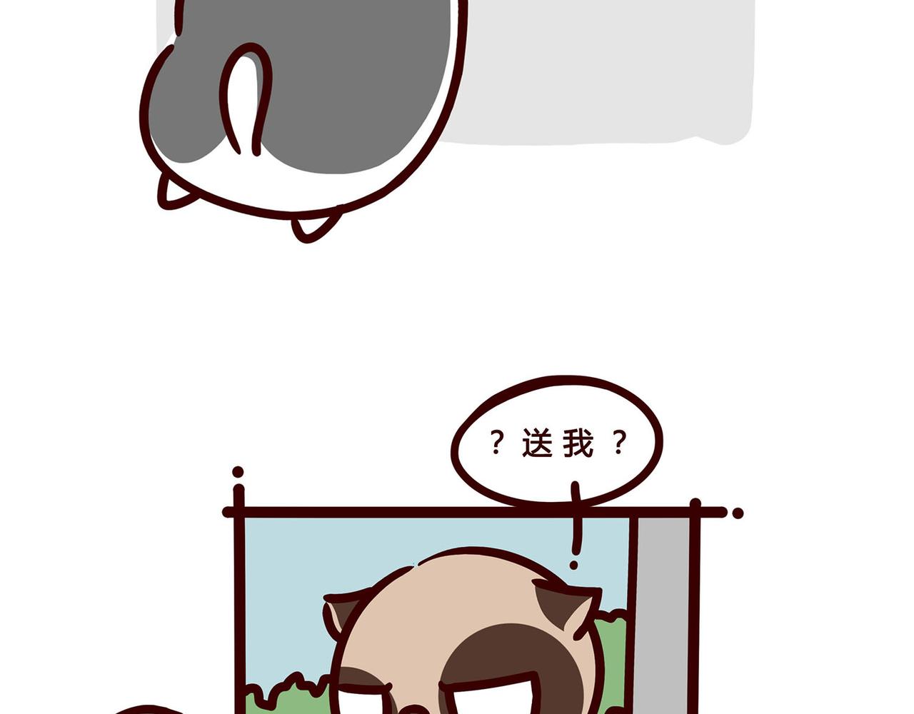 哥哥最近怎么了？-第15话