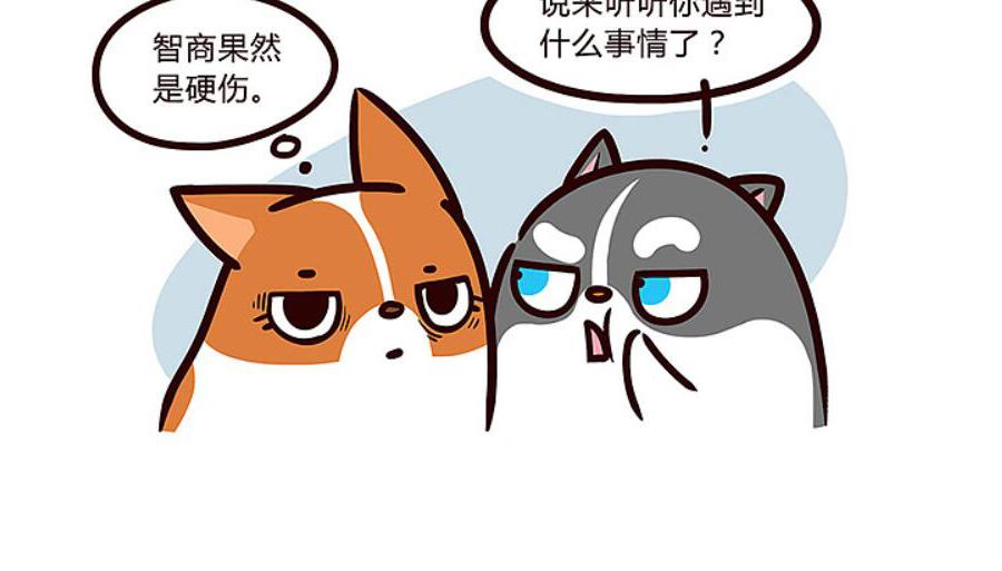 当你的狗子知道自己是狗时-第25话