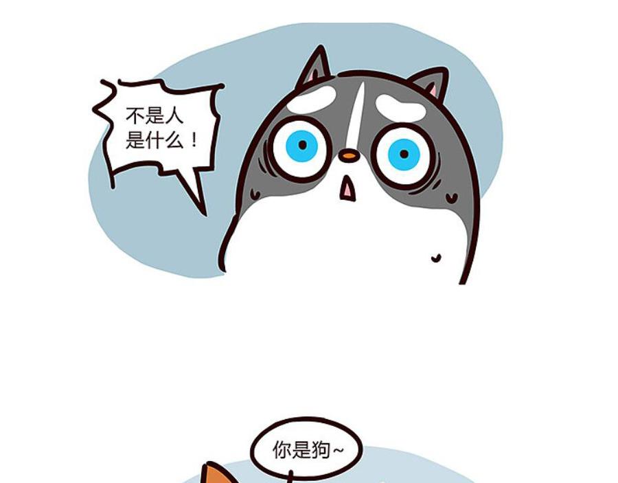 当你的狗子知道自己是狗时-第25话