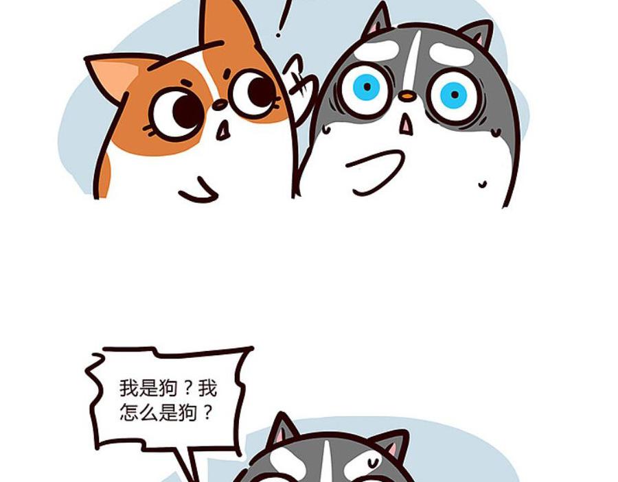当你的狗子知道自己是狗时-第25话