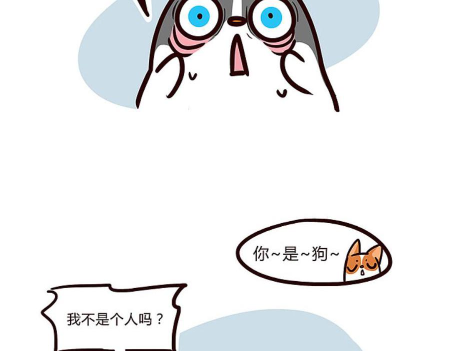 当你的狗子知道自己是狗时-第25话