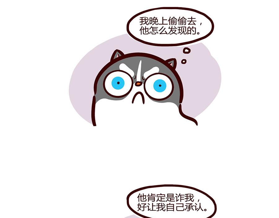 特立独行-第41话