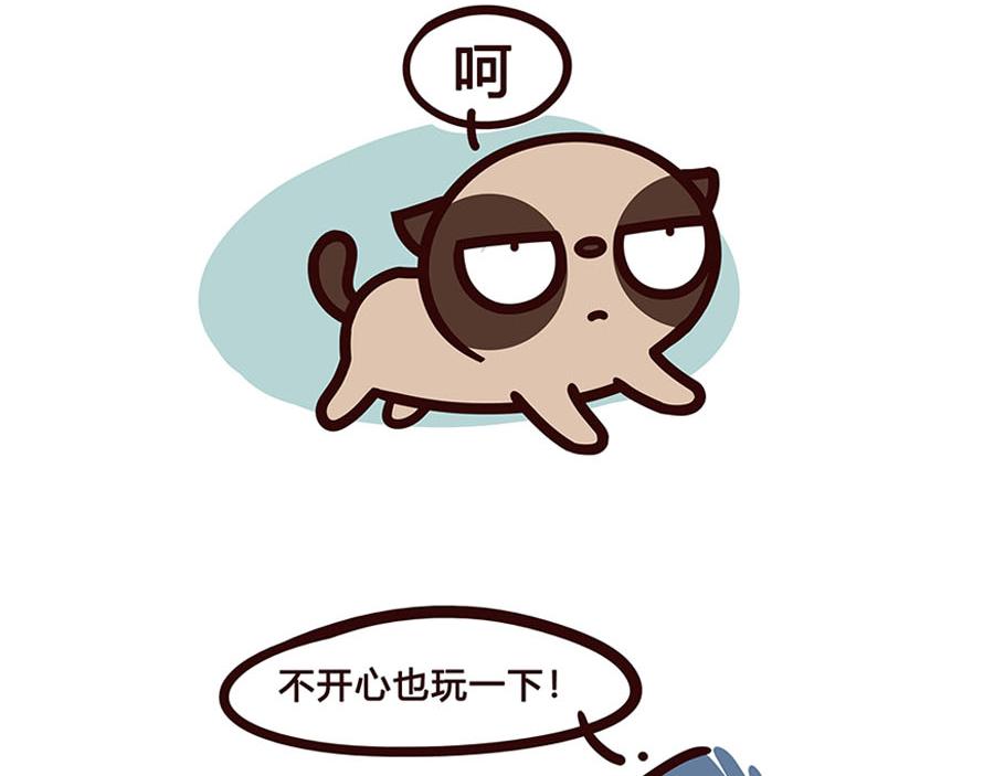 特立独行-第41话