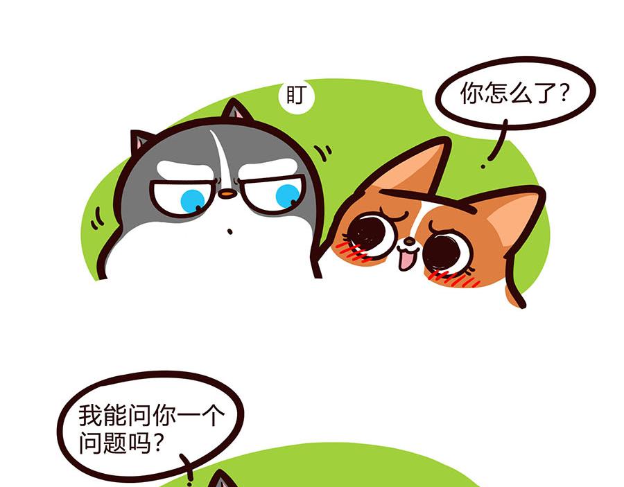 换个视角-第45话