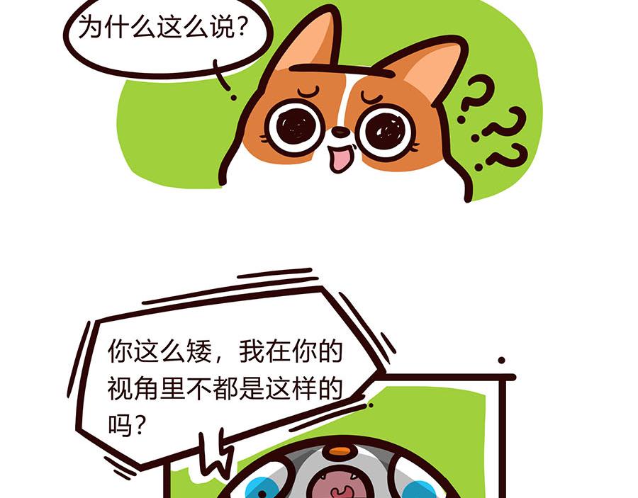 换个视角-第45话