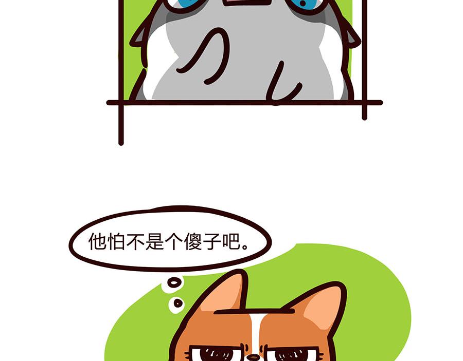 换个视角-第45话