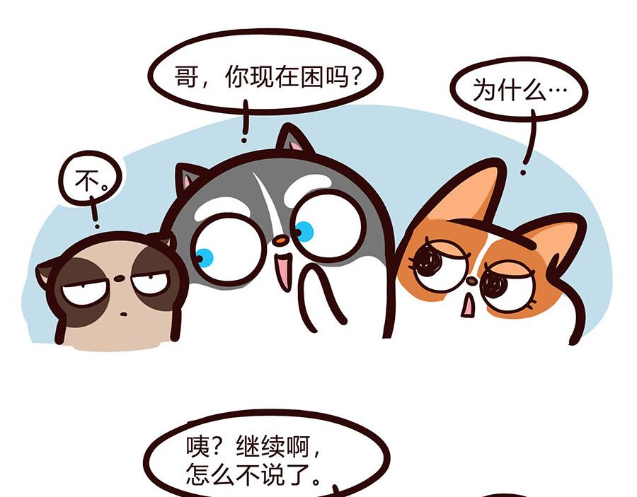 有完没完-第49话