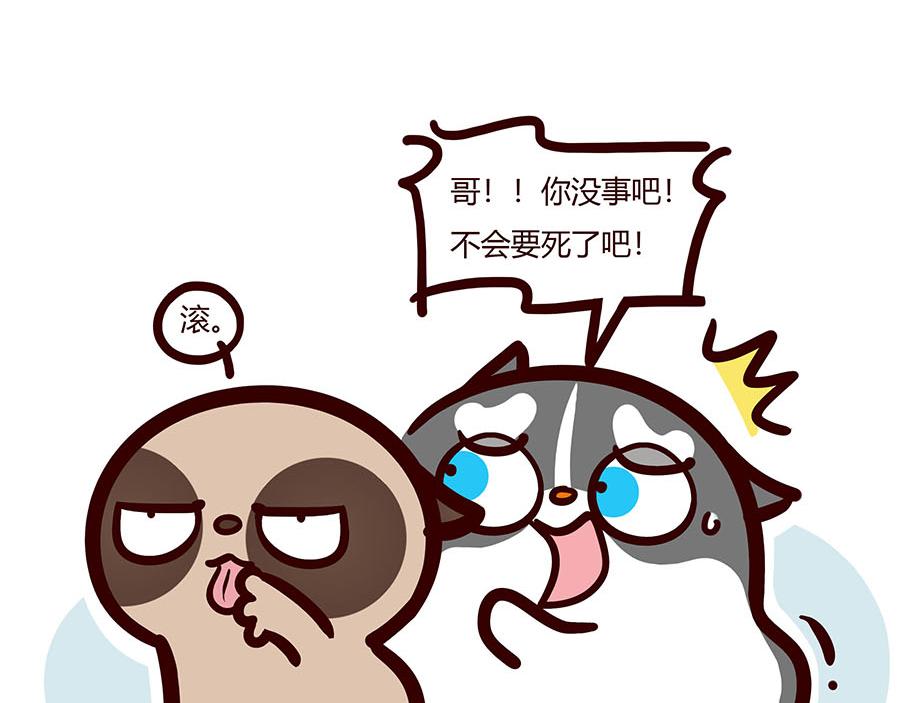 我失恋了？-第51话