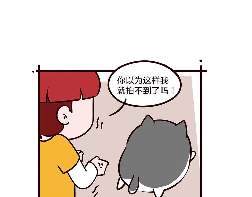 一只狗的快乐生活-第7话