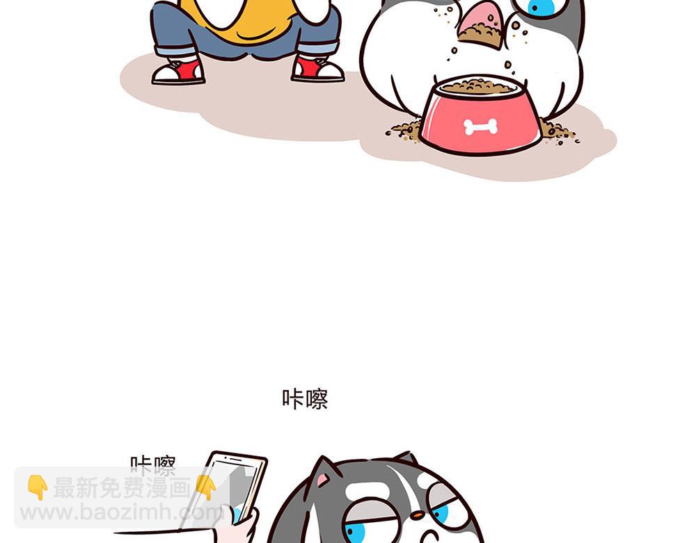 一只狗的快乐生活-第7话