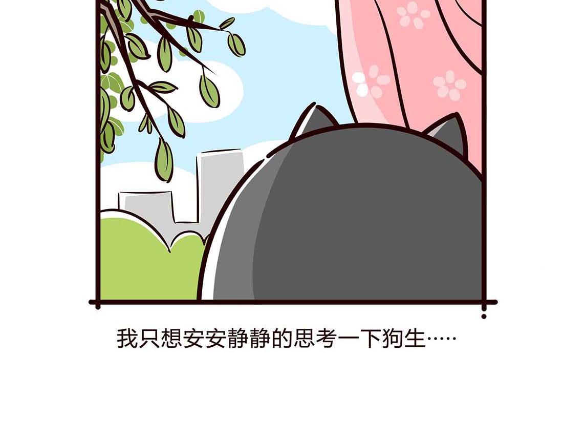 一只狗的快乐生活-第7话