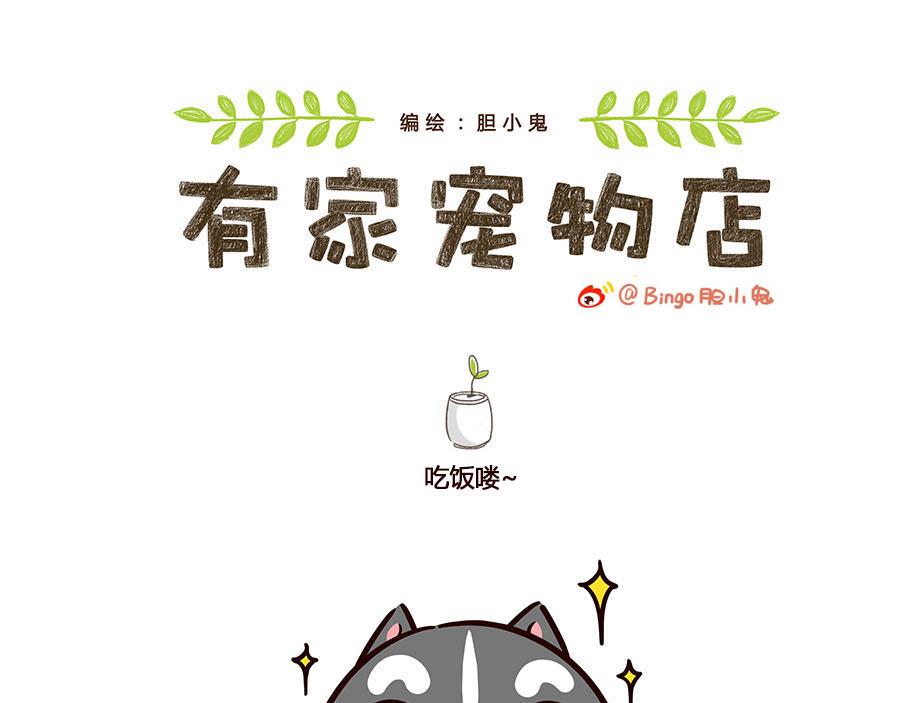 我的大哥和我-第9话