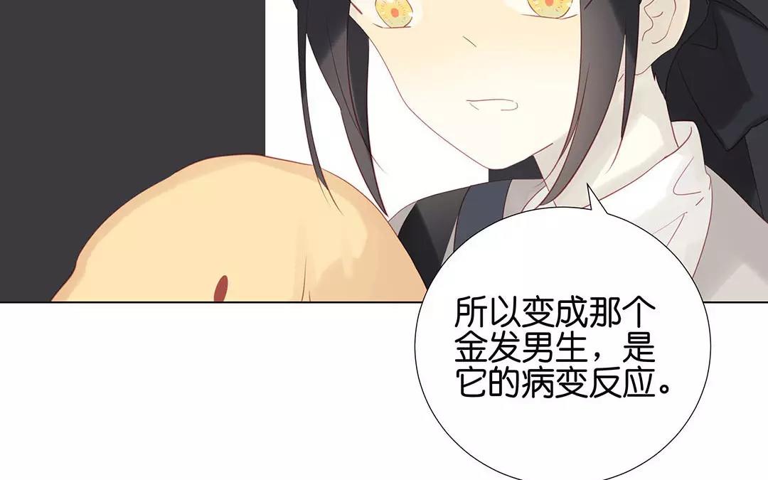 有龍守護的小鎮 - 第57話 相見(1/2) - 7
