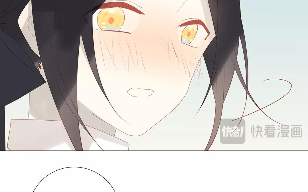 第59话 我们回家吧(1/2)-第59话