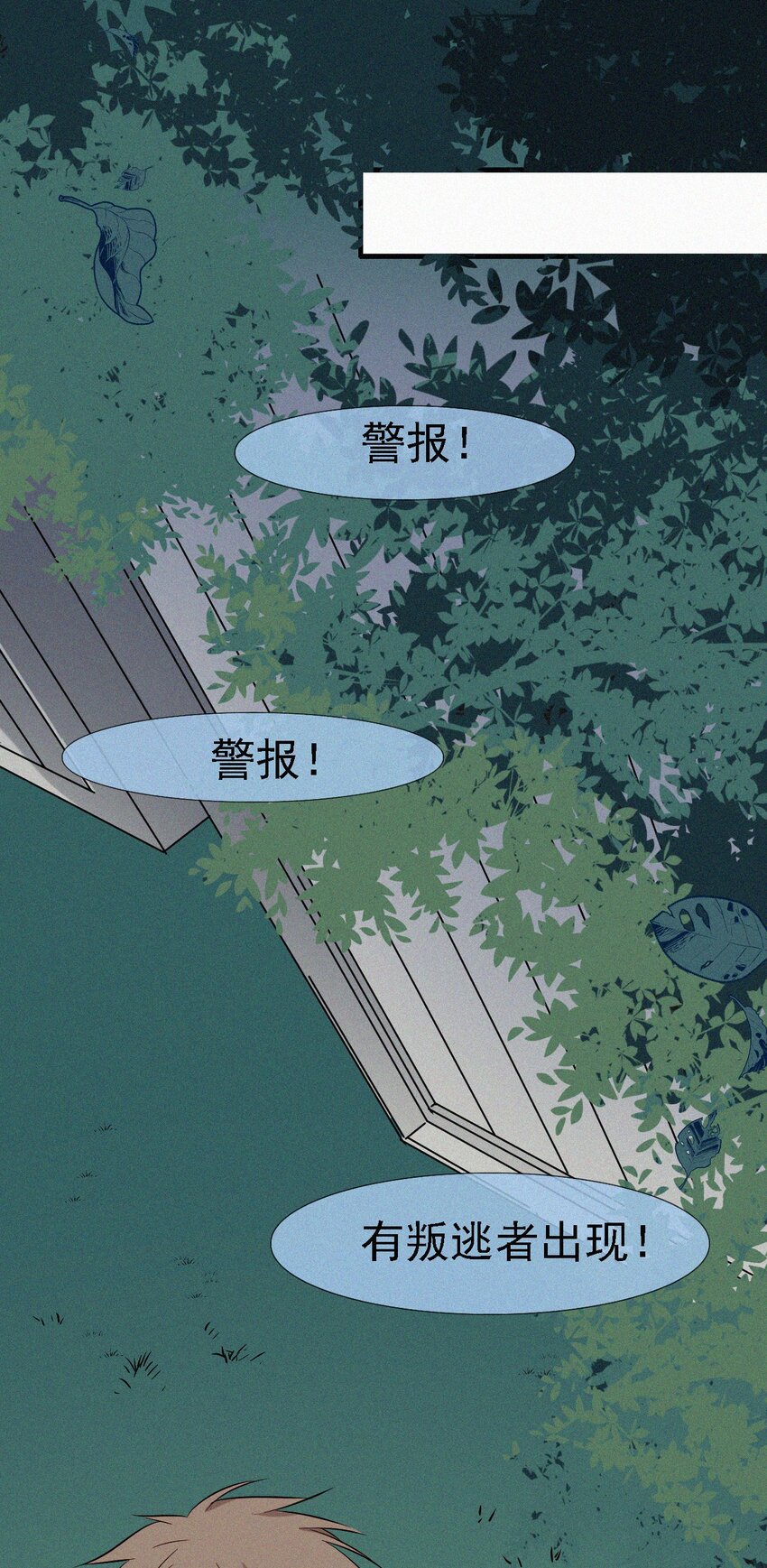 052 层层的交织(1/2)-第55话