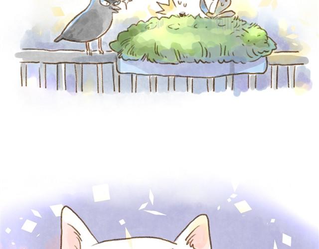 我的主人一点都不受欢迎-第11话