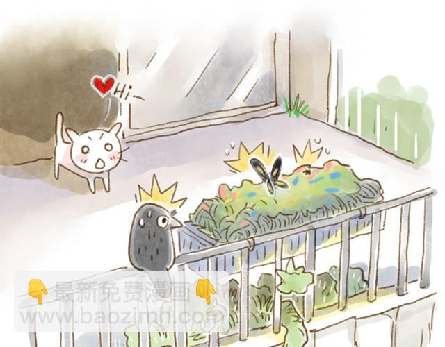 我的主人一点都不受欢迎-第11话