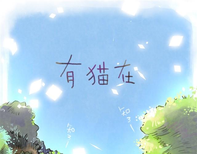 夏天的猫，脾气似乎也和温度一样-第13话