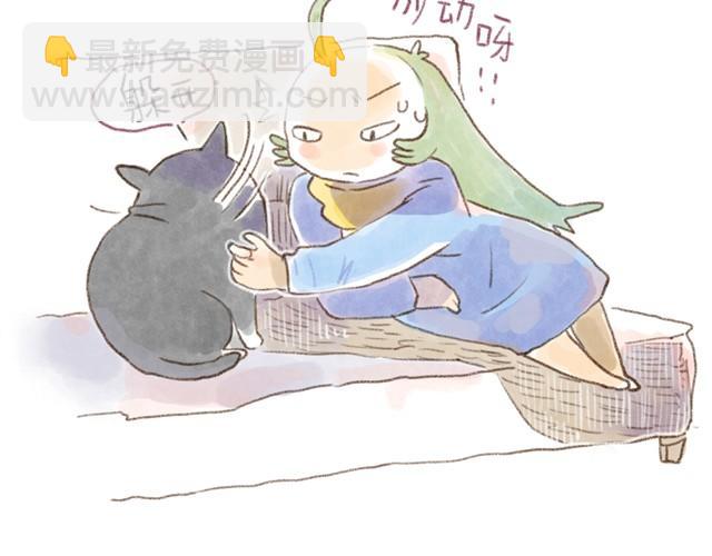 夏天的猫，脾气似乎也和温度一样-第13话