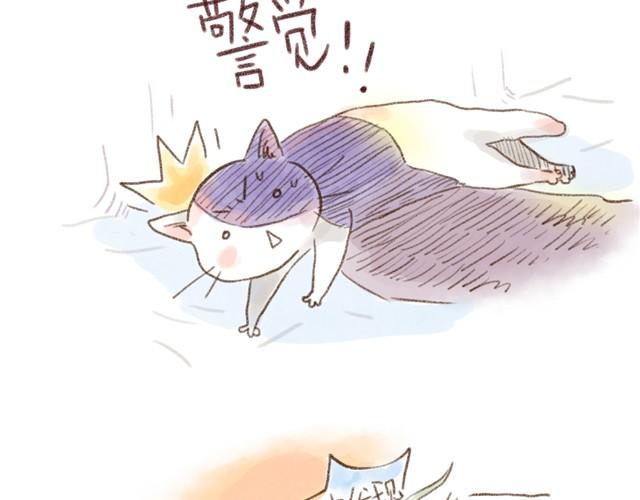 夏天的猫，脾气似乎也和温度一样-第13话