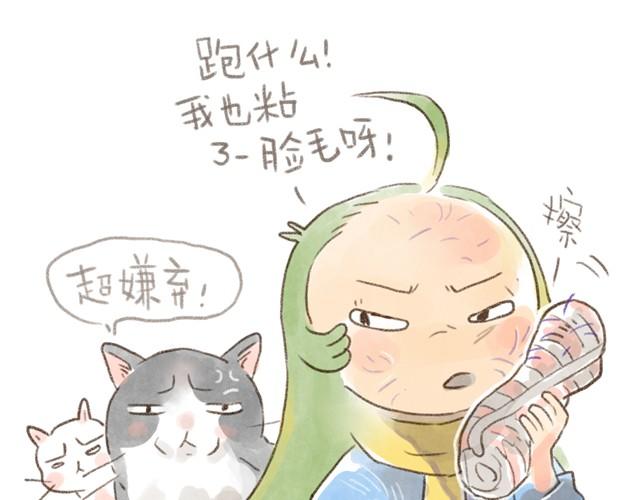 夏天的猫，脾气似乎也和温度一样-第13话