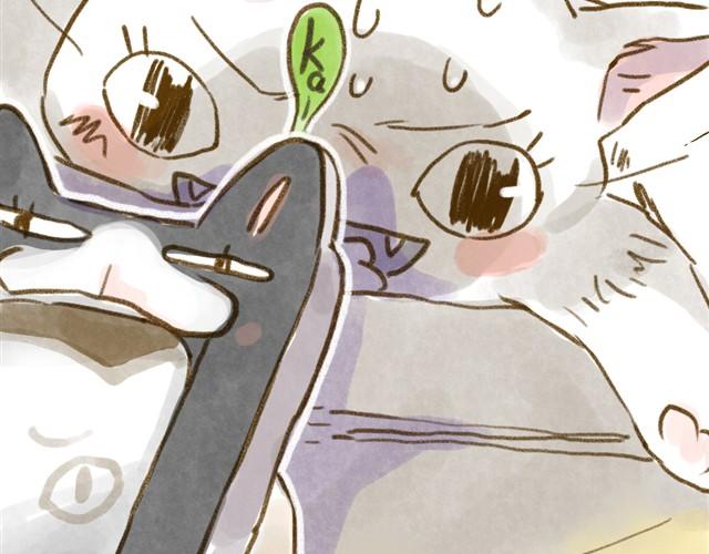 对猫来说，手机不是友好的东西-第15话